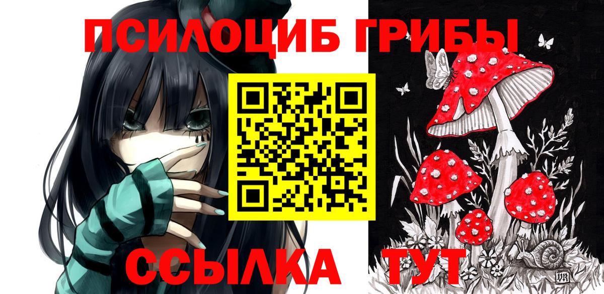 Галлюциногенные грибы прущие грибы  Вход с VPN  Ахтубинск 